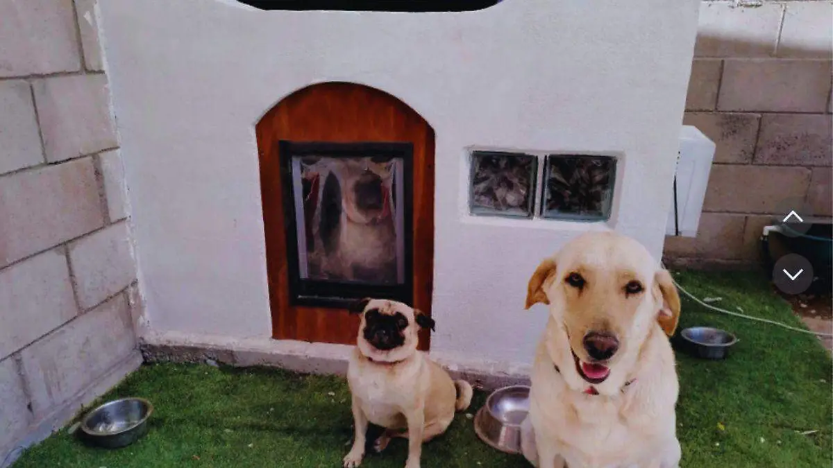 Casa de perros aire acondicionado